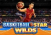 Basketball Star Wilds