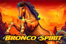 Bronco Spirit