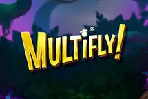 MultiFly!